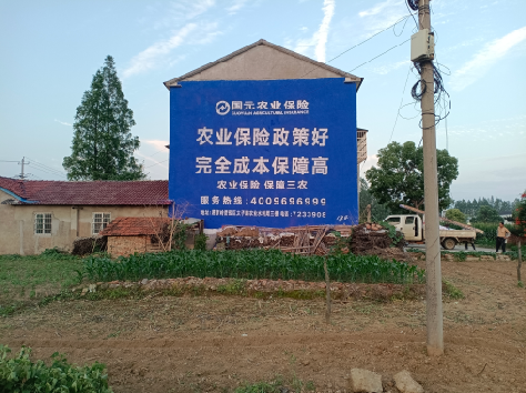 桃江墙体广告为何受追捧？